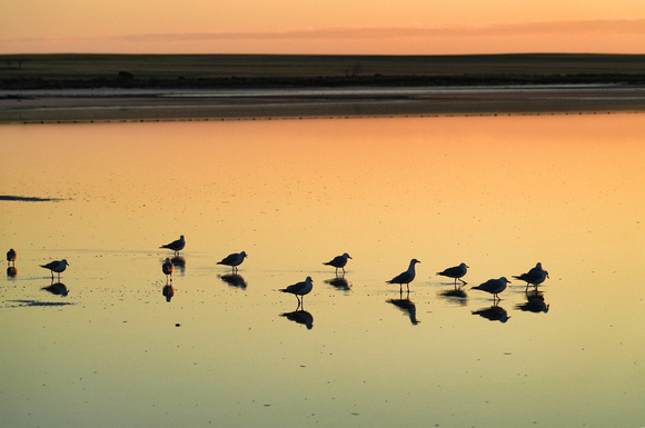 Lake Tyrrell