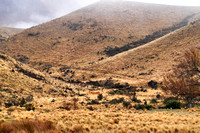 Arthurs Pass, New Zealand