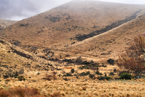 Arthurs Pass, New Zealand