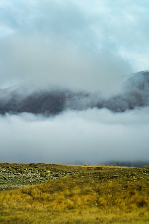 Edora, New Zealand