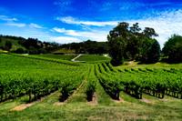 Adelaide Hills, South Australia