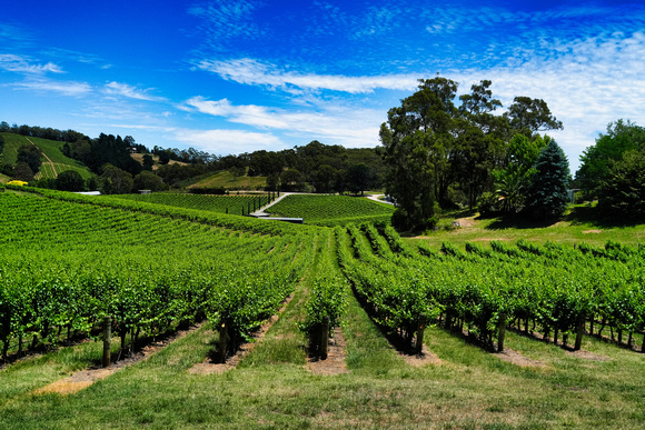 Adelaide Hills, South Australia