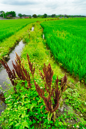 Xitou, Yilan, Taiwan