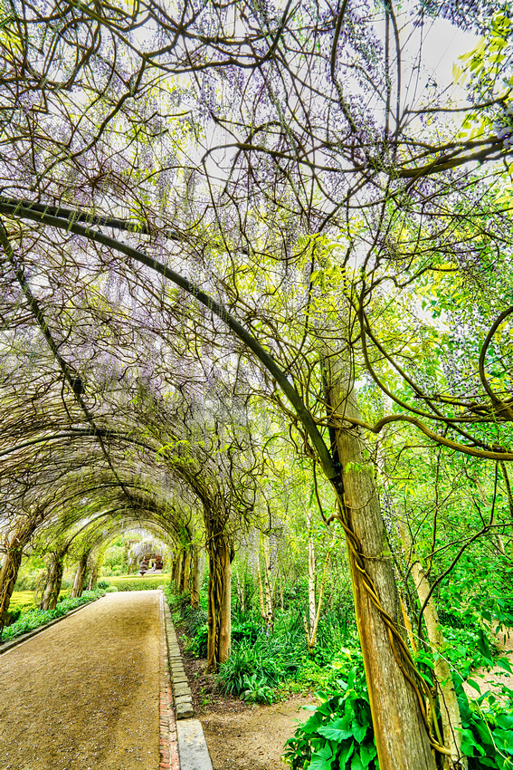 Alowyn Garden, Yarra Glen