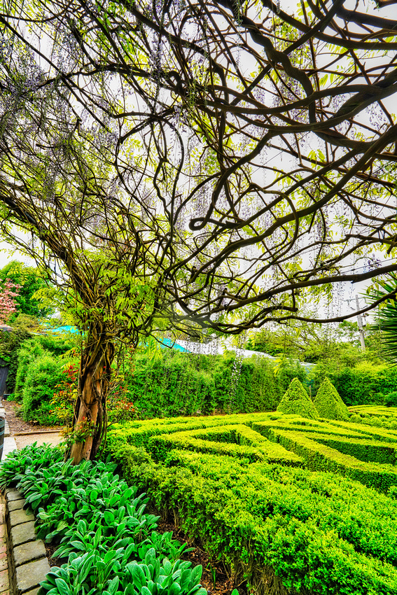 Alowyn Garden, Yarra Glen