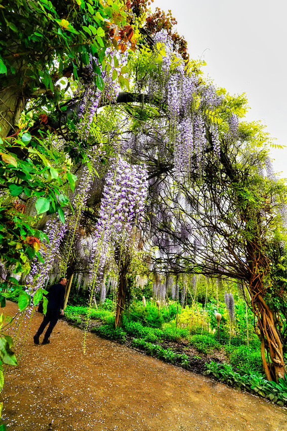 Alowyn Garden, Yarra Glen