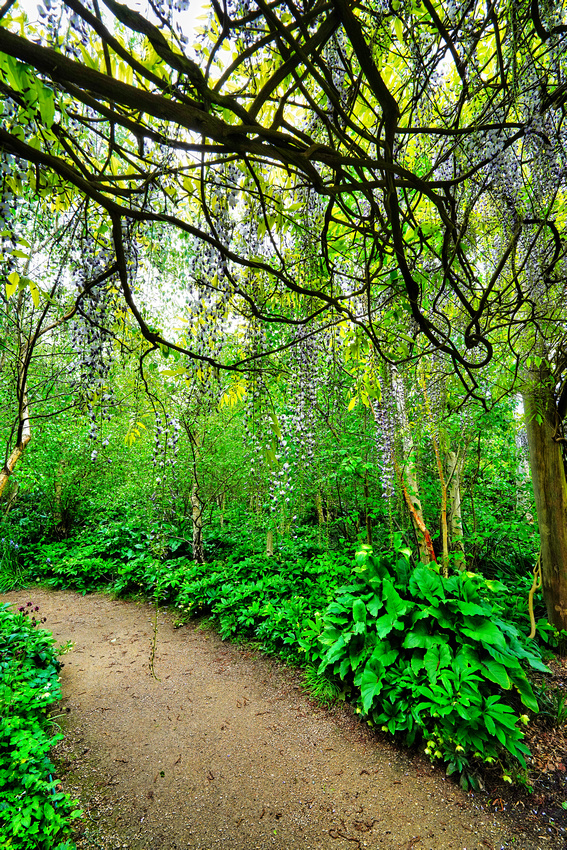 Alowyn Garden, Yarra Glen