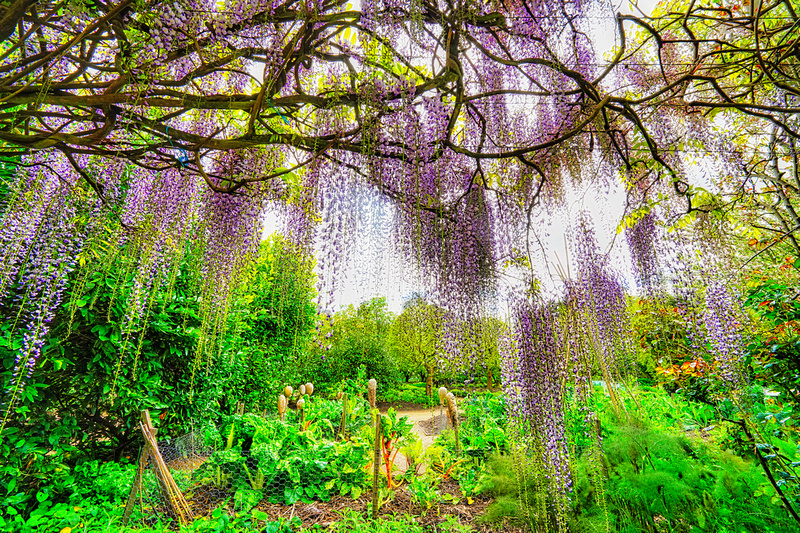 Alowyn Garden, Yarra Glen