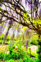 Alowyn Garden, Yarra Glen