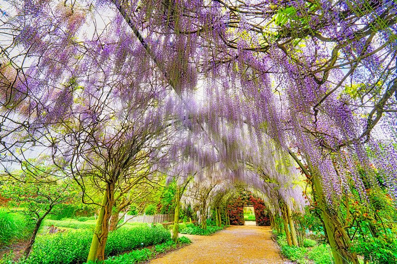 Alowyn Garden, Yarra Glen