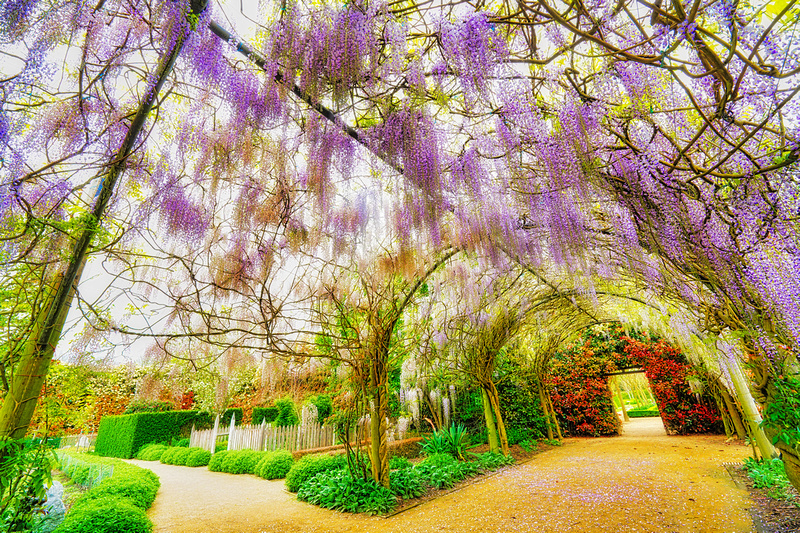 Alowyn Garden, Yarra Glen