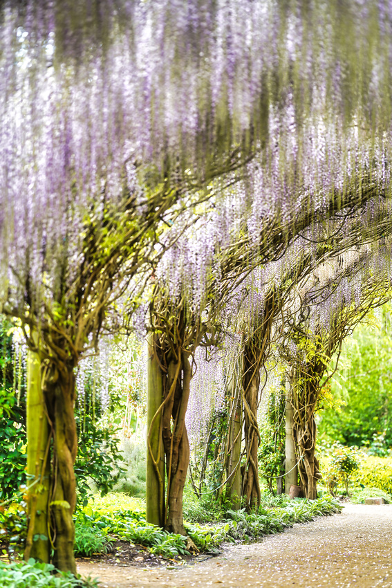 Alowyn Garden, Yarra Glen