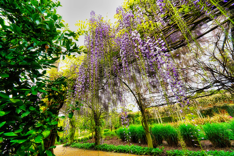 Alowyn Garden, Yarra Glen