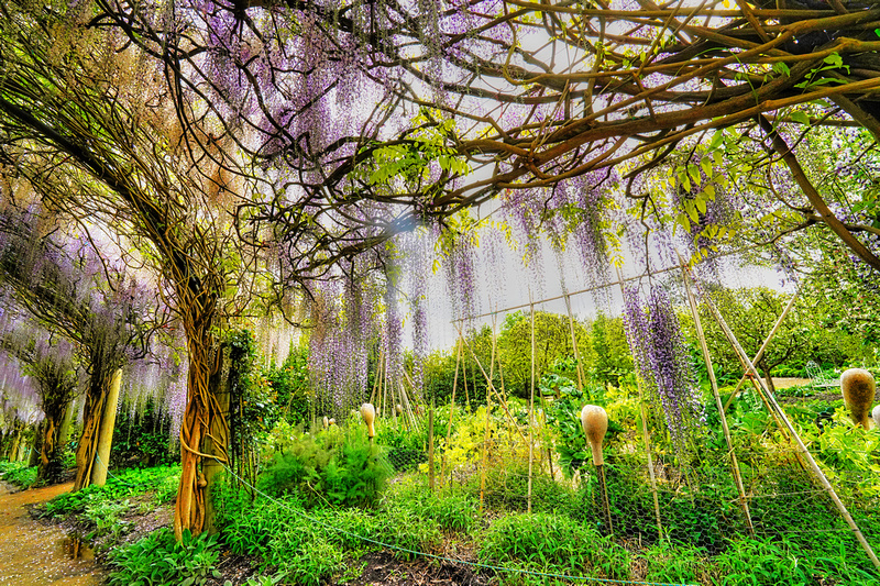 Alowyn Garden, Yarra Glen