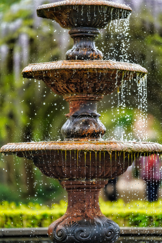 Alowyn Garden, Yarra Glen