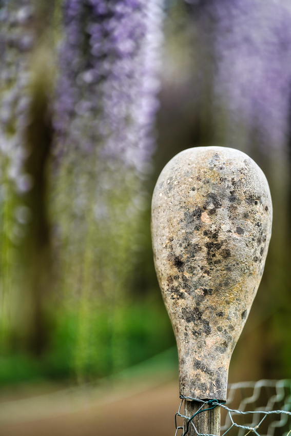 Alowyn Garden, Yarra Glen