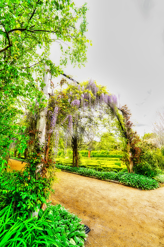 Alowyn Garden, Yarra Glen