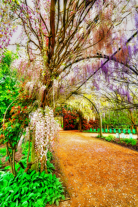 Alowyn Garden, Yarra Glen