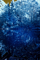Infra Red Lake Sanitarium
