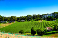 Mount Lofty, South Australia