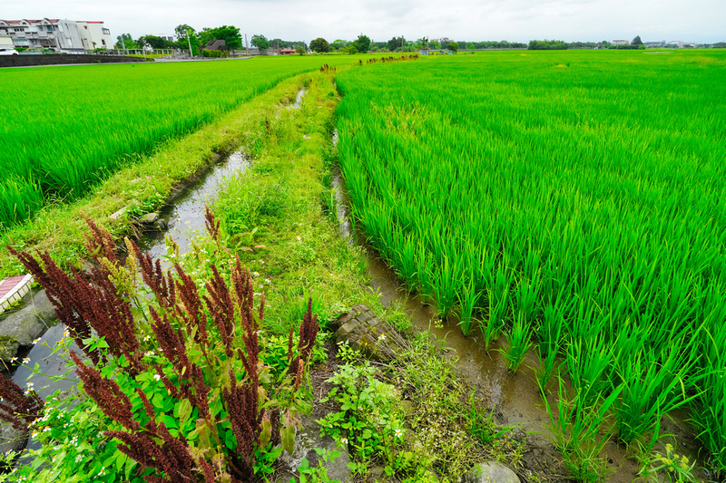 Xitou, Yilan, Taiwan