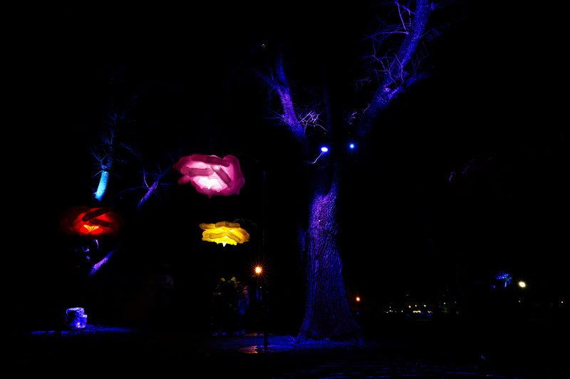 Bendigo Electric Wonderland