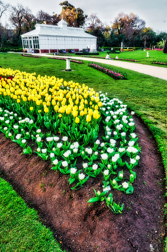 Bendigo Bloom Festival