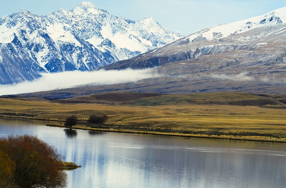 Edora, New Zealand