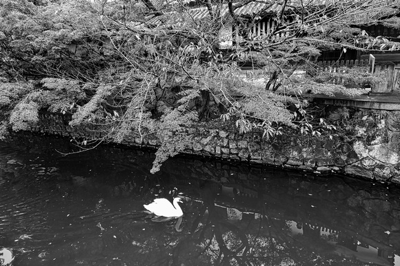 Matsumoto Castle, Japan