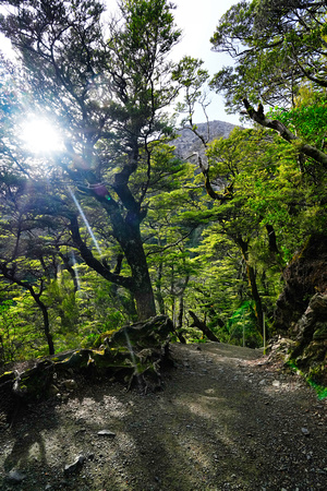 Arthurs Pass, New Zealand