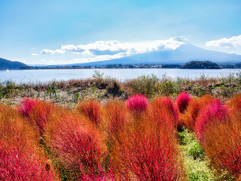 Kawaguchiko, Mount Fuji, Japan