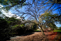 White Hills Botanical Garden