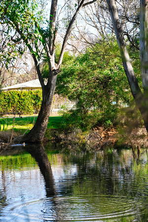 White Hills Botanical Garden