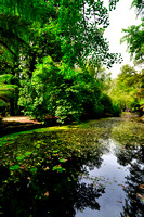 Alfred Nicholas Garden, Melbourne