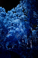Infra Red Lake Sanitarium