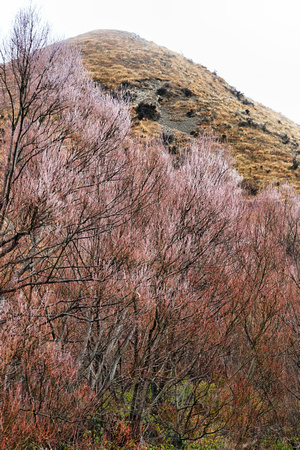 Arthurs Pass, New Zealand