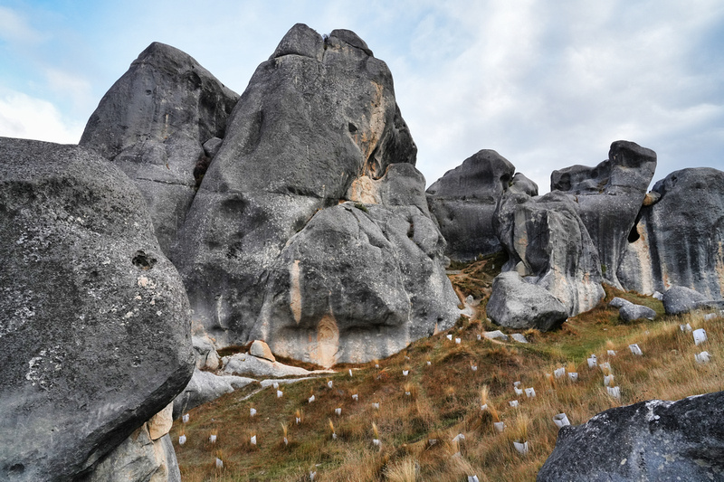 Castle Hill, New Zealand