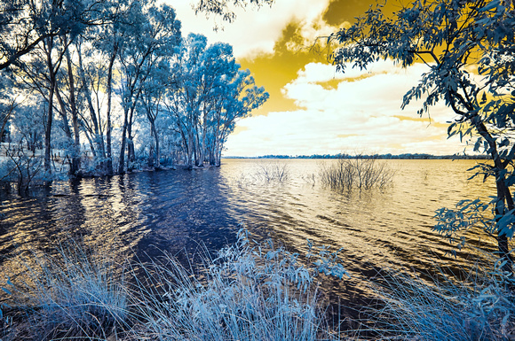 Infrared Lake Eppalock