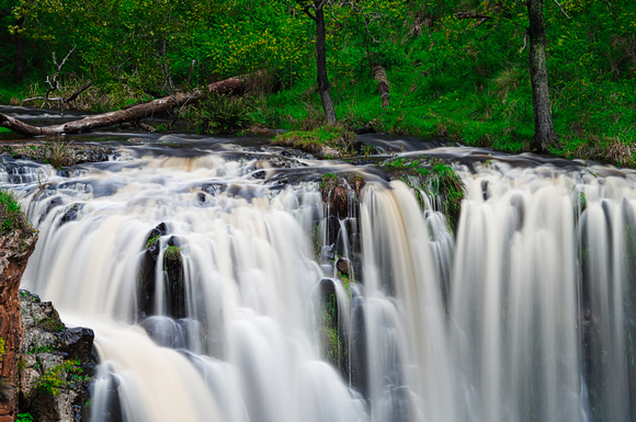 Trentham Falls