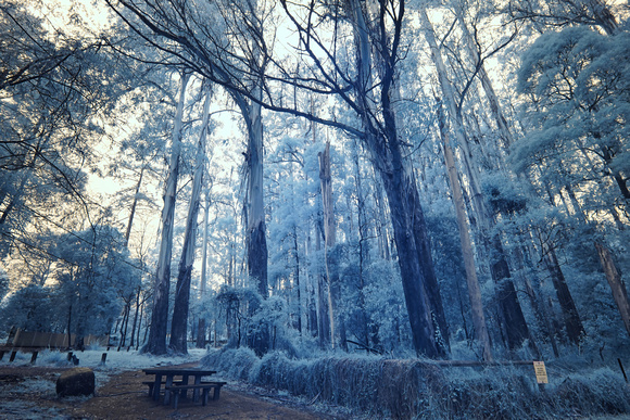 Infrared Sherbrooke