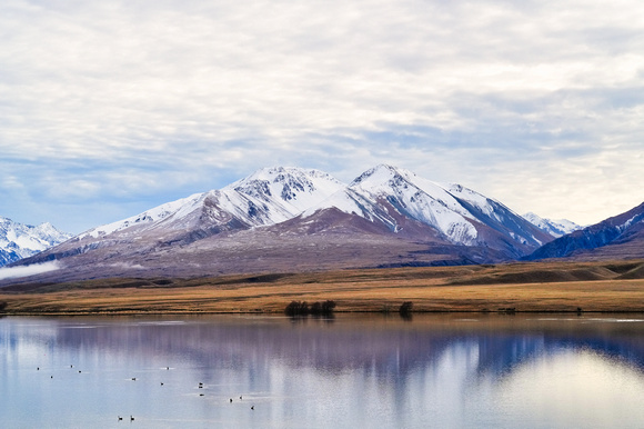 Edora, New Zealand