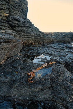 Flinders Blowhole, Melbourne