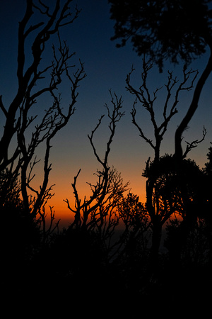 Pulpit Rock, Cape Schanck, Melbourne