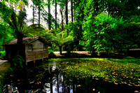 Alfred Nicholas Garden, Melbourne