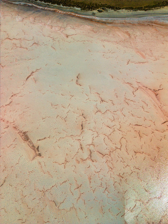 Pink Lake, Ashville