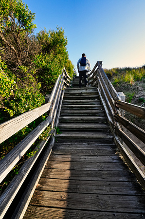 Forest Cave, Phillip Island