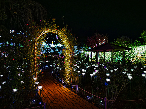 Tokyo Ashikaga Flower Park