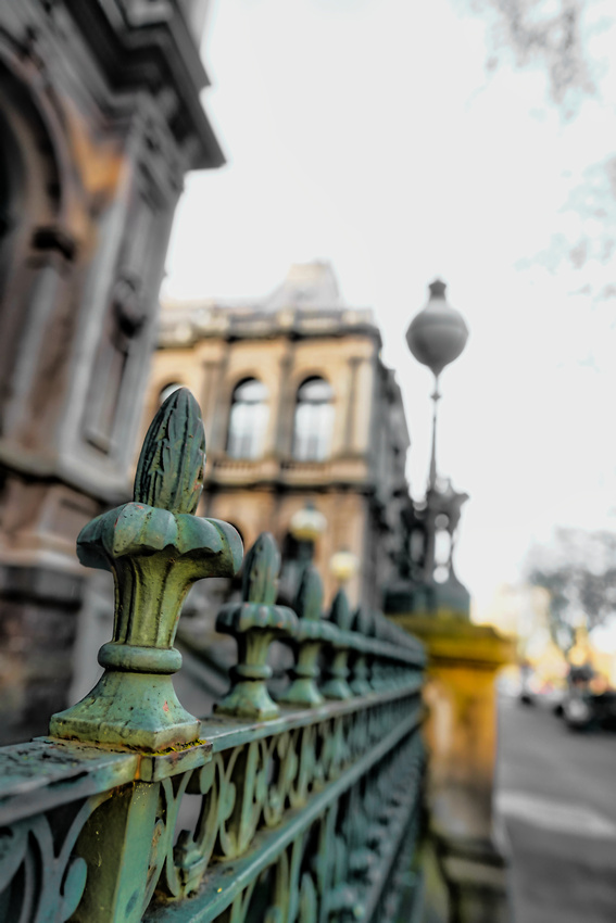 Bendigo Bloom Festival