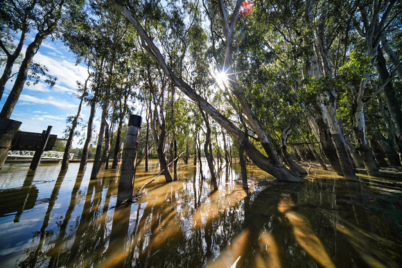 Koondrook, Victoria