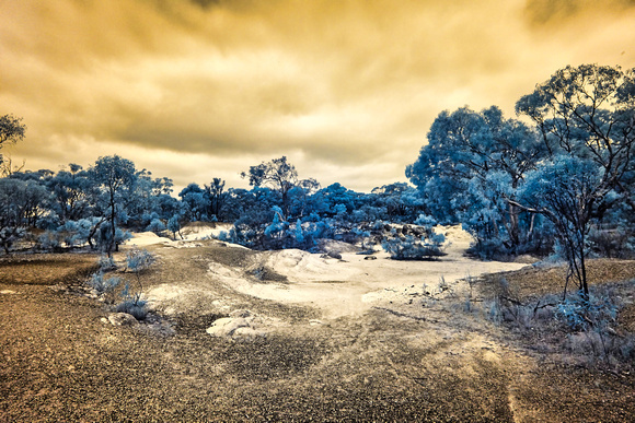 Infra Red Heathcote